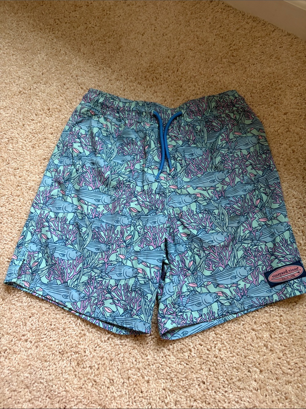 Vineyard Vines Light Blue & Aqua Tropical Fish Swim Shorts